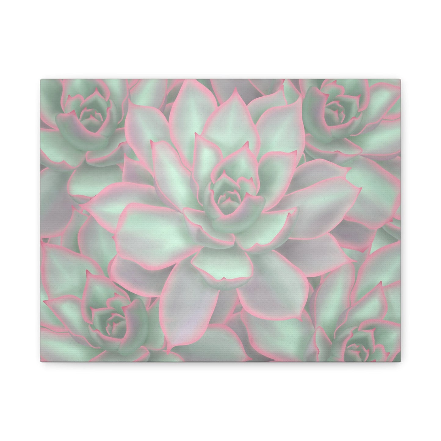 Echeveria Violet Queen Succulent Pattern Canvas Print – Botanical Wall Art