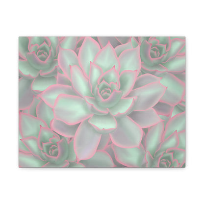 Echeveria Violet Queen Succulent Pattern Canvas Print – Botanical Wall Art