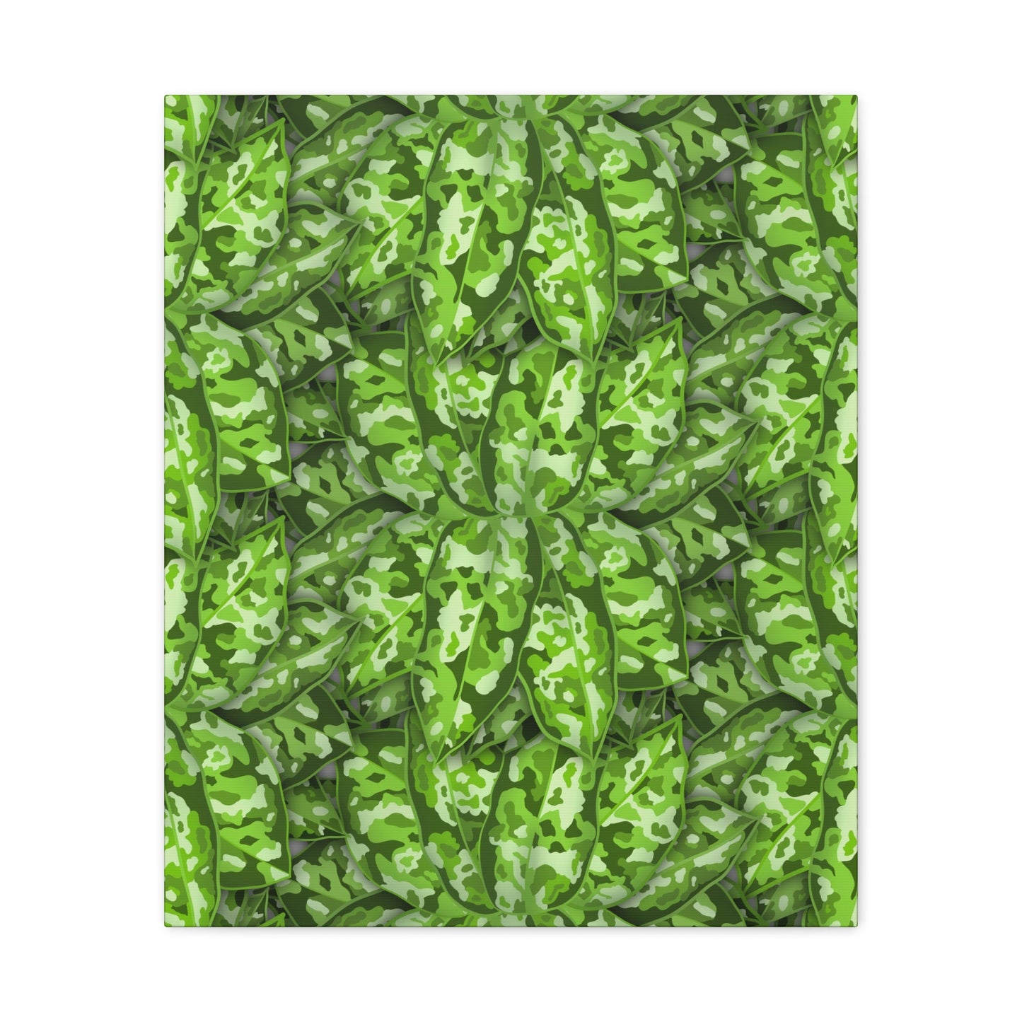 Aglaonema Pictum Canvas Print – Botanical Wall Art