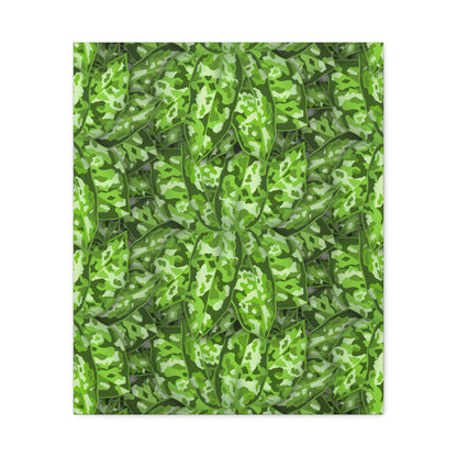 Aglaonema Pictum Canvas Print – Botanical Wall Art