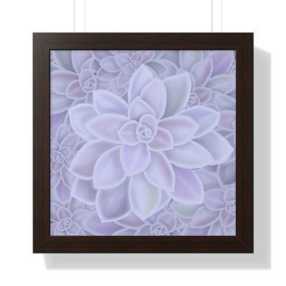 Graptopetalum Murasaki Succulent Pattern Framed Print – Botanical Wall Art