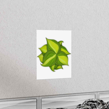 Philodendron Brasil Botanical Print – Unframed Wall Art