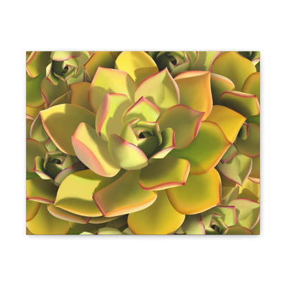 Noble Aeonium Succulent Pattern Canvas Print – Botanical Wall Art