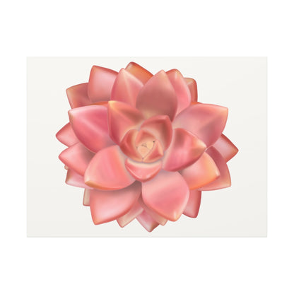 Graptosedum California Sunset Succulent Canvas Print – Botanical Wall Art