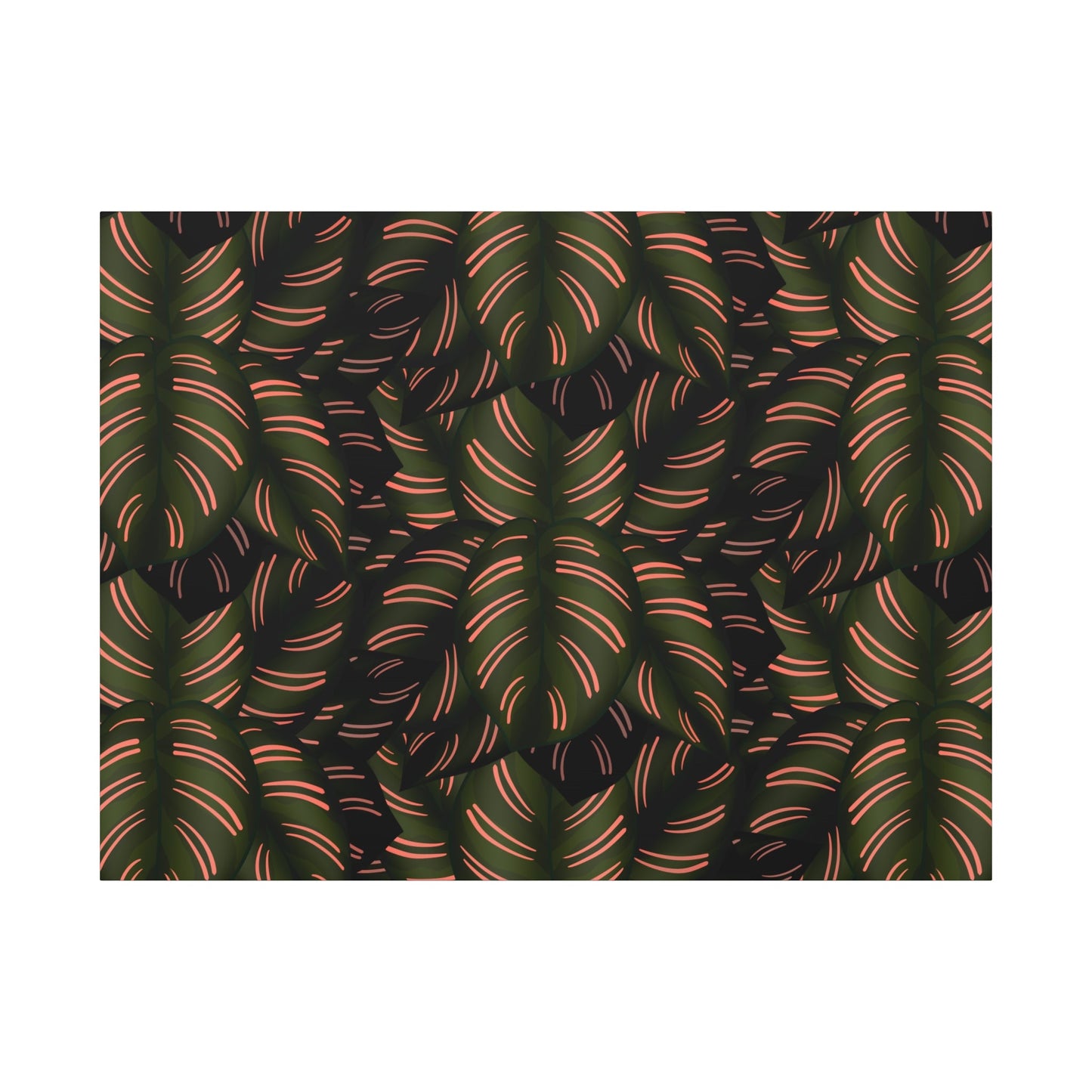 Calathea Pinstripe Pattern Canvas Print – Botanical Wall Art