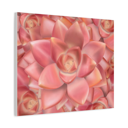Graptosedum California Sunset Succulent Pattern Canvas Print – Botanical Wall Art