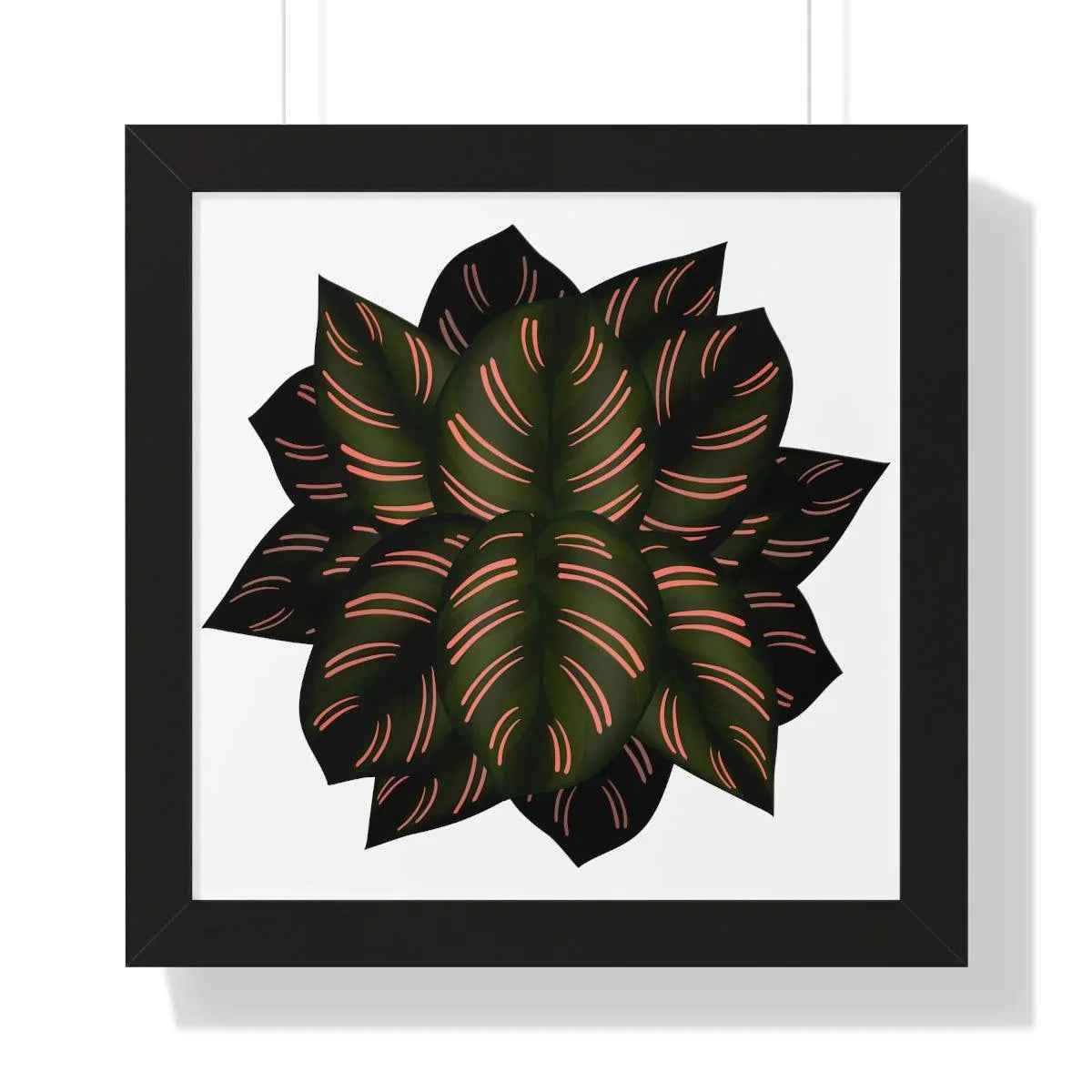 Calathea Pinstripe Framed Print – Botanical Wall Art
