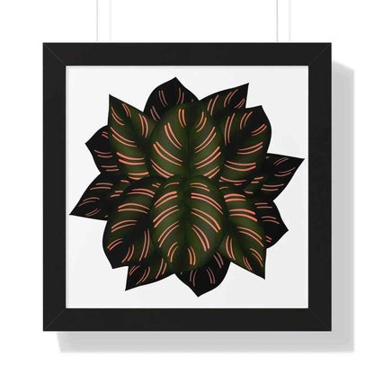Calathea Pinstripe Framed Print – Botanical Wall Art