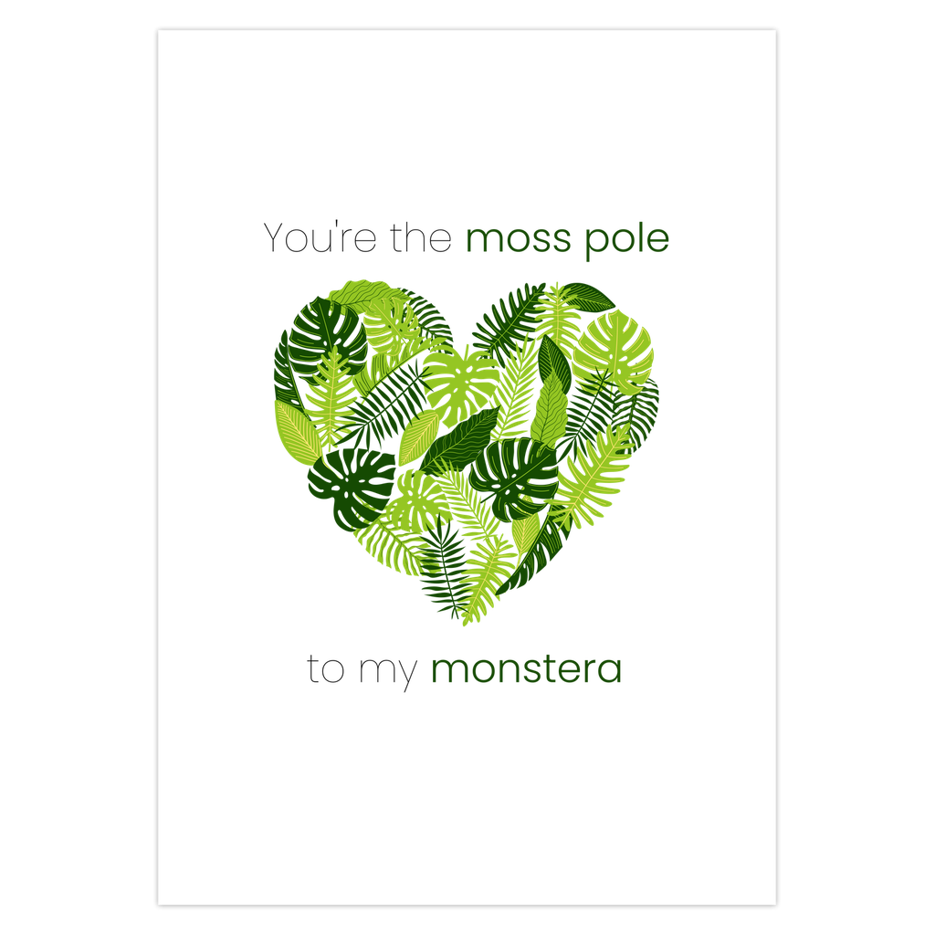 Monstera Leaf Valentine's Day Card – Botanical Design Blank Inside