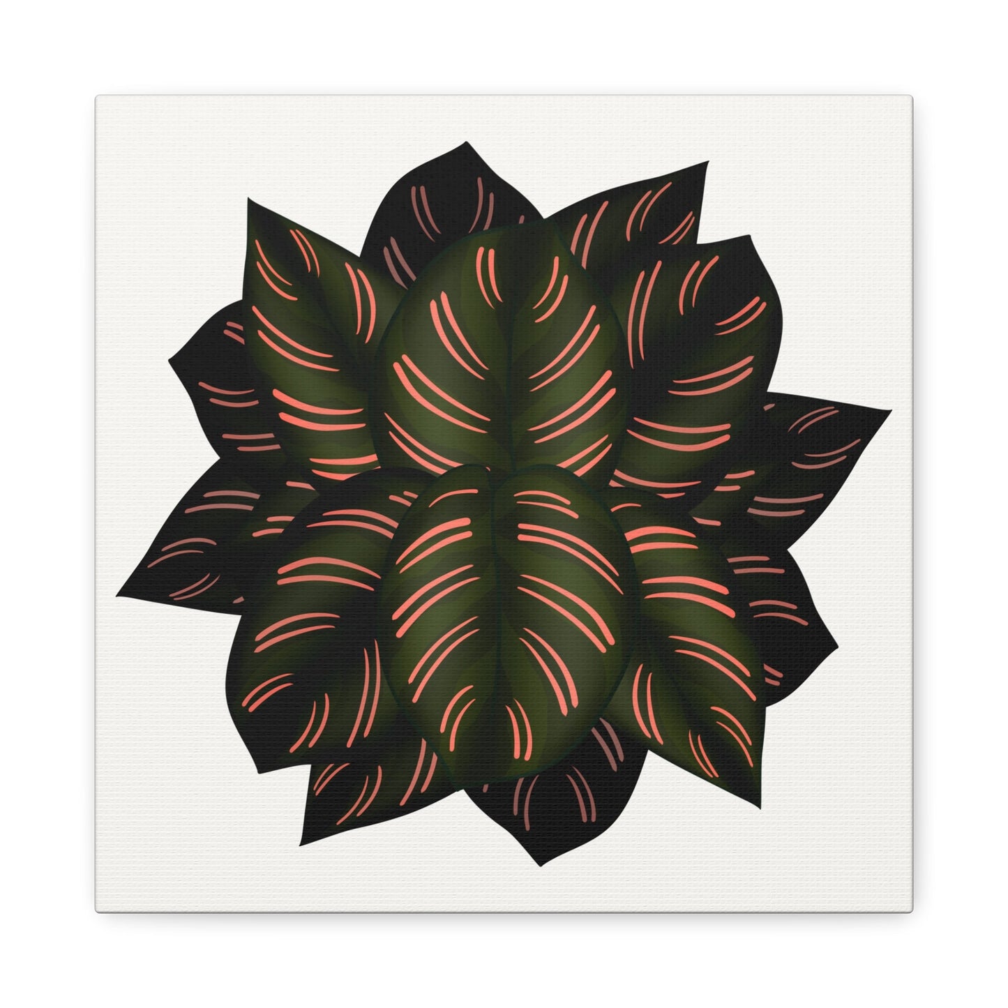 Calathea Pinstripe Canvas Print – Botanical Wall Art