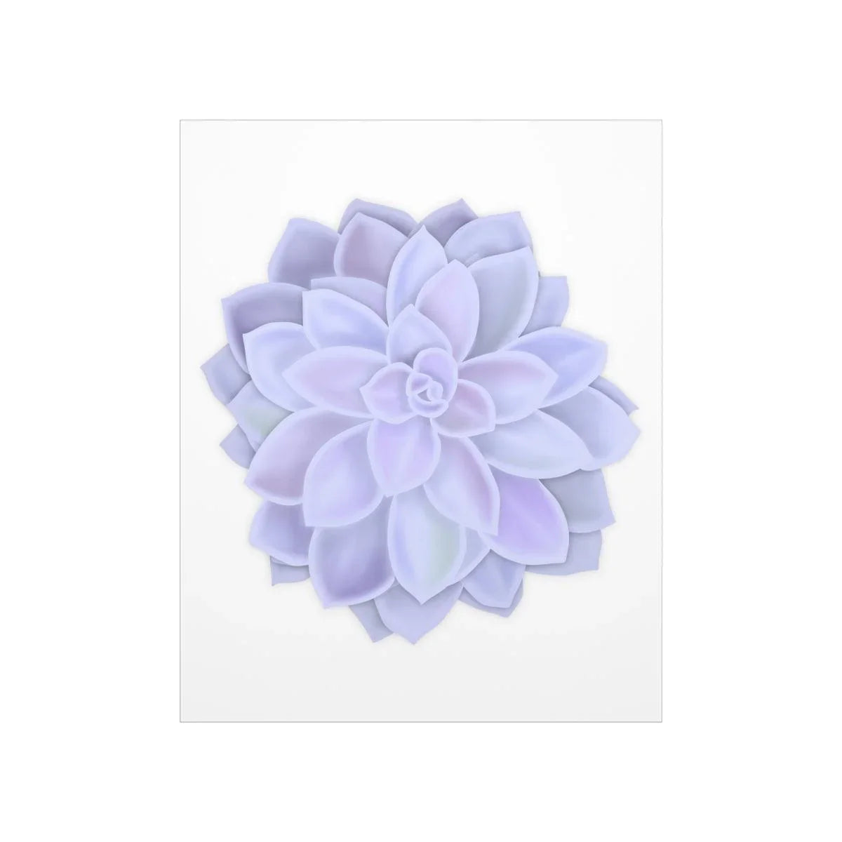Graptopetalum Murasaki Succulent Botanical Print – Unframed Wall Art