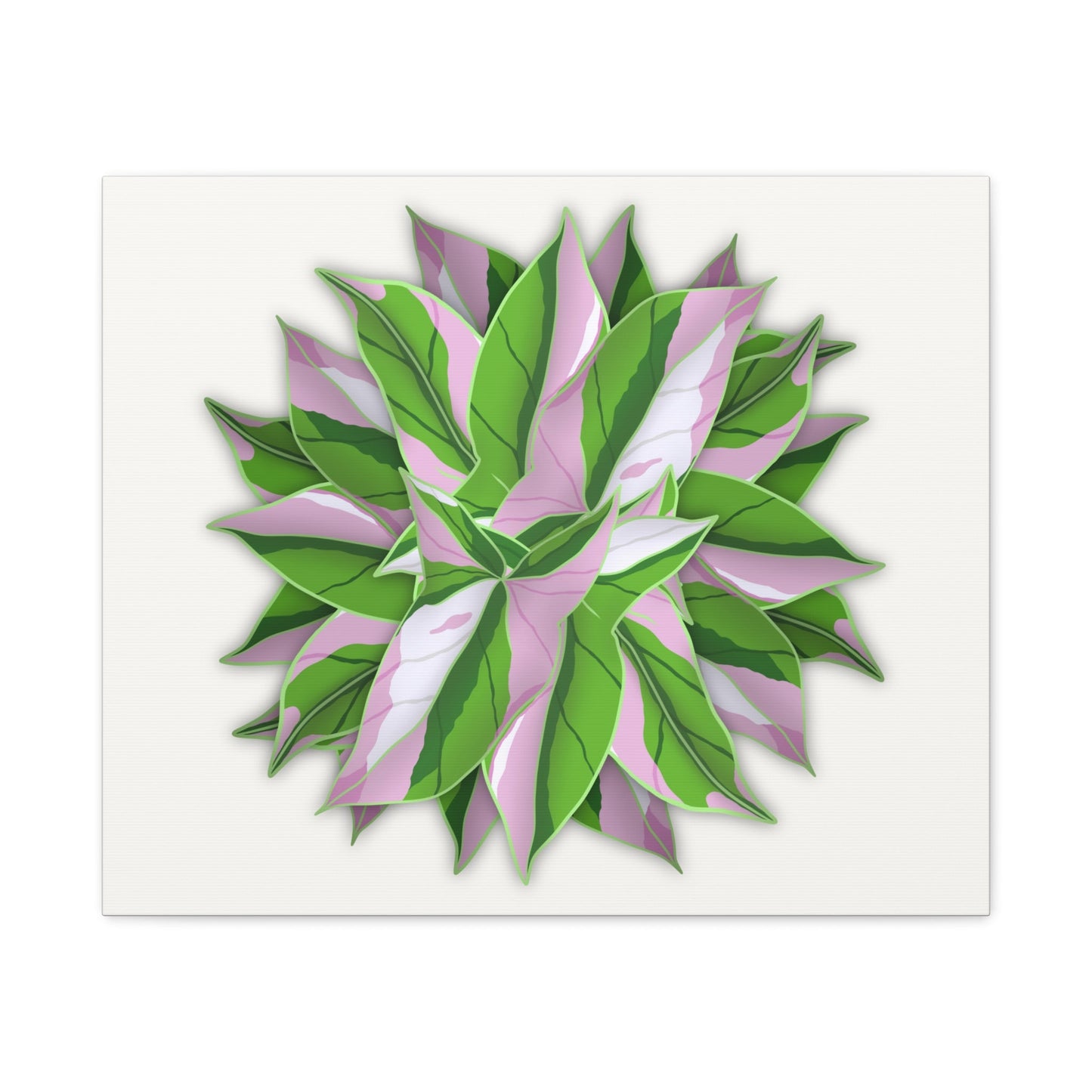 Syngonium Tricolor Pattern Canvas Print – Botanical Wall Art