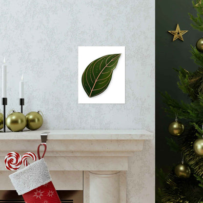Aglaonema Rotundum Botanical Print – Unframed Wall Art