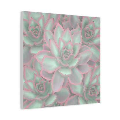 Echeveria Violet Queen Succulent Pattern Canvas Print – Botanical Wall Art