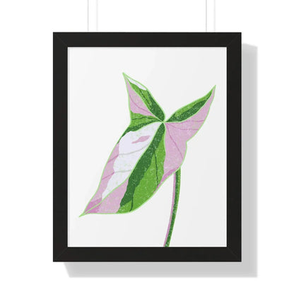 Syngonium Tricolor Framed Print – Botanical Wall Art