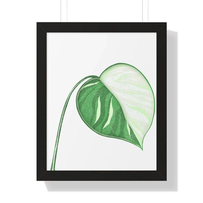 Monstera Albo Illustrated Framed Print – Botanical Wall Art