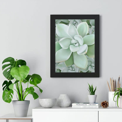Pachyveria Haagei Succulent Pattern Framed Print – Botanical Wall Art