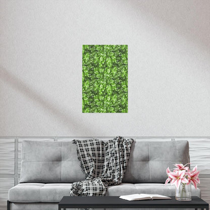 Aglaonema Pictum Botanical Print – Unframed Wall Art