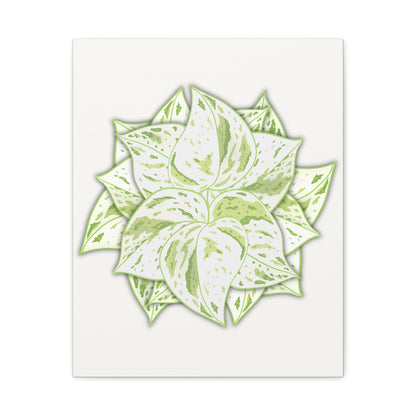 Snow Queen Pothos Canvas Print – Botanical Wall Art