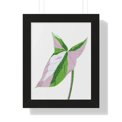 Syngonium Tricolor Framed Print – Botanical Wall Art