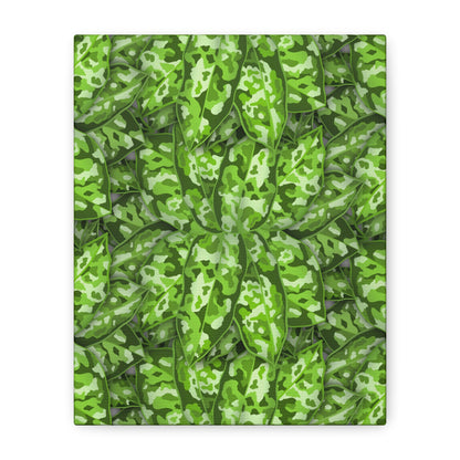 Aglaonema Pictum Canvas Print – Botanical Wall Art