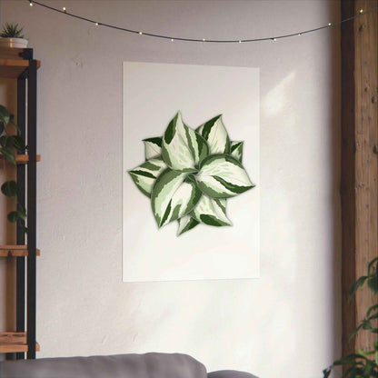 Manjula Pothos Botanical Print – Unframed Wall Art
