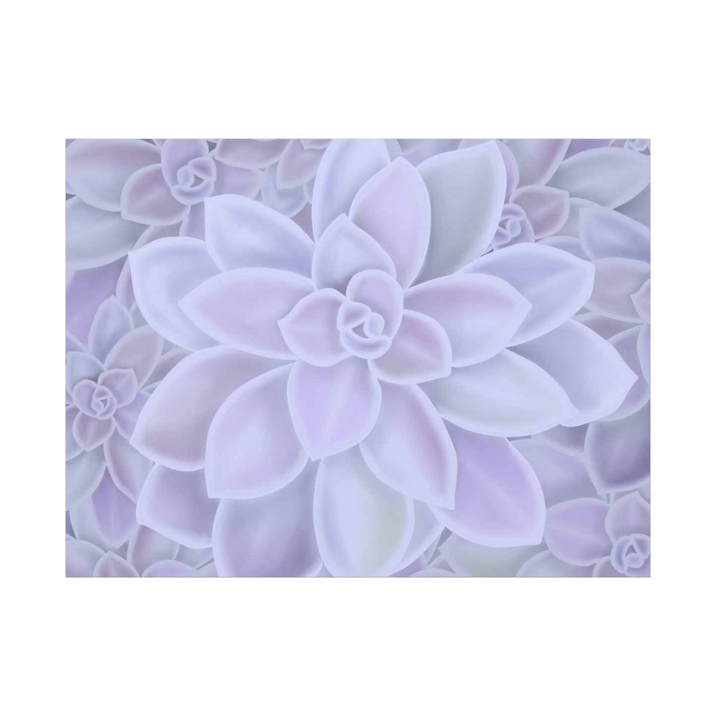 Graptopetalum Murasaki Succulent Pattern Canvas Print – Botanical Wall Art