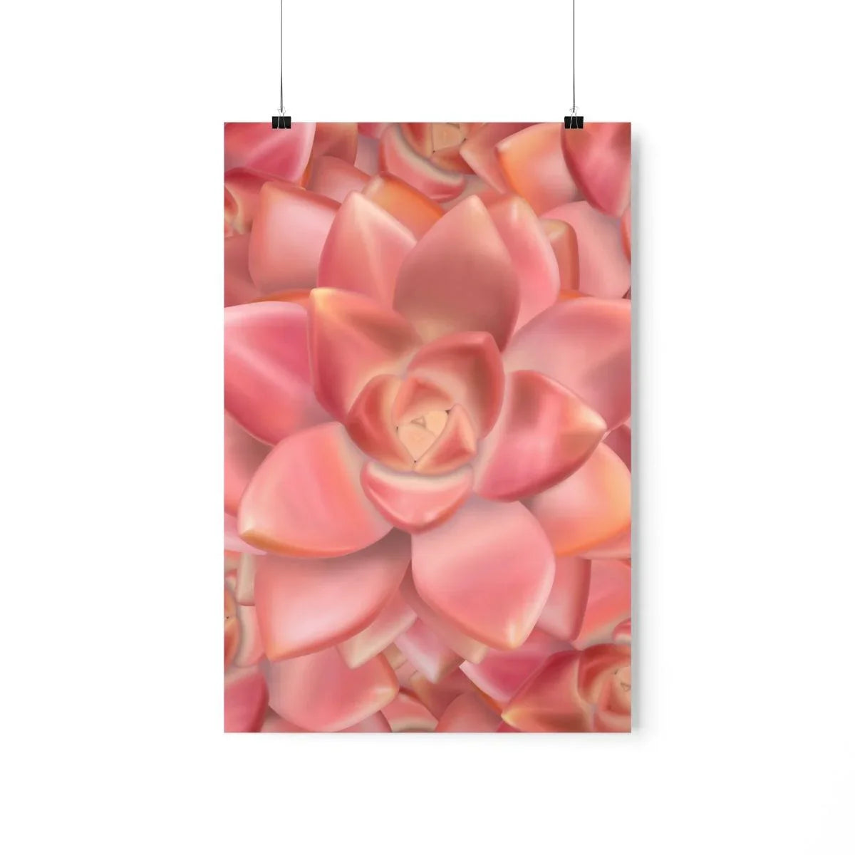 Graptosedum California Sunset Succulent Pattern Botanical Print – Unframed Wall Art