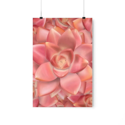 Graptosedum California Sunset Succulent Pattern Botanical Print – Unframed Wall Art