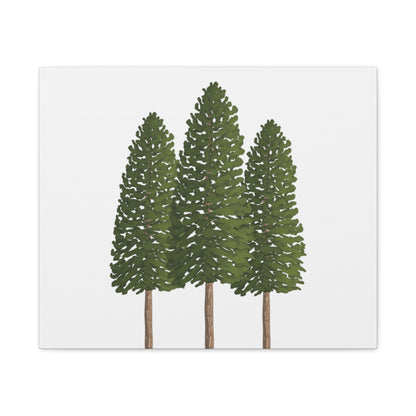 Ponderosa Pine Canvas Print – Wall Art