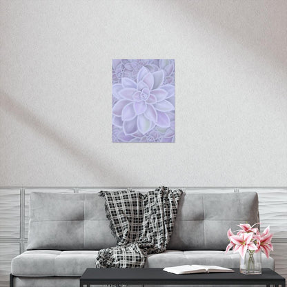 Graptopetalum Murasaki Succulent Pattern Botanical Print – Unframed Wall Art