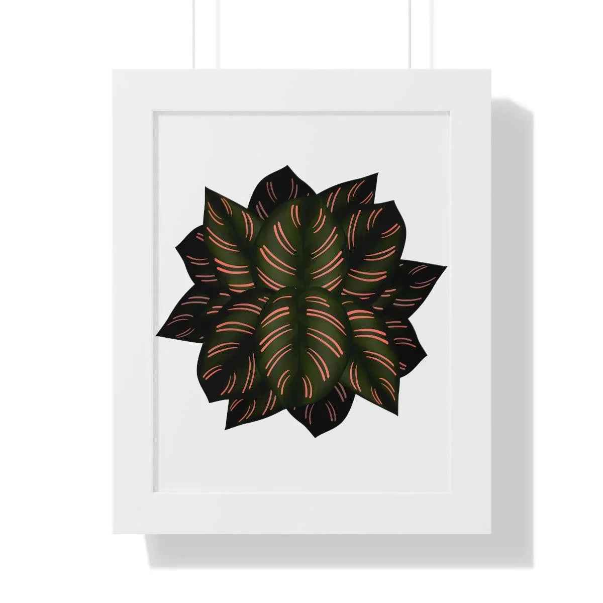 Calathea Pinstripe Framed Print – Botanical Wall Art