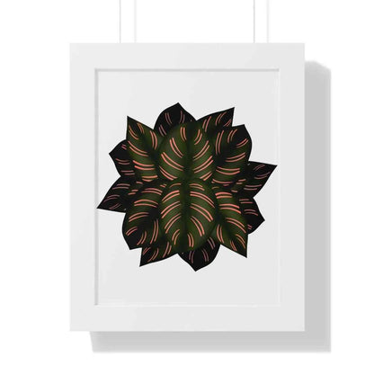Calathea Pinstripe Framed Print – Botanical Wall Art