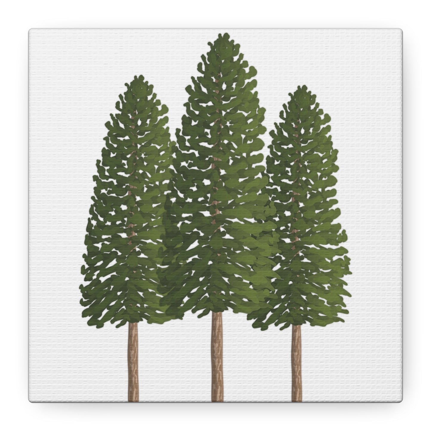 Ponderosa Pine Canvas Print – Wall Art