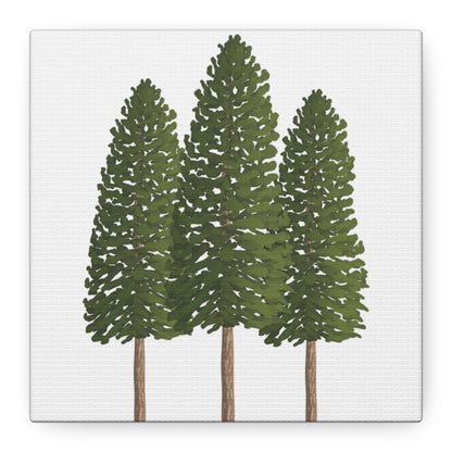 Ponderosa Pine Canvas Print – Wall Art