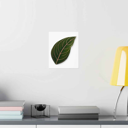 Aglaonema Rotundum Botanical Print – Unframed Wall Art