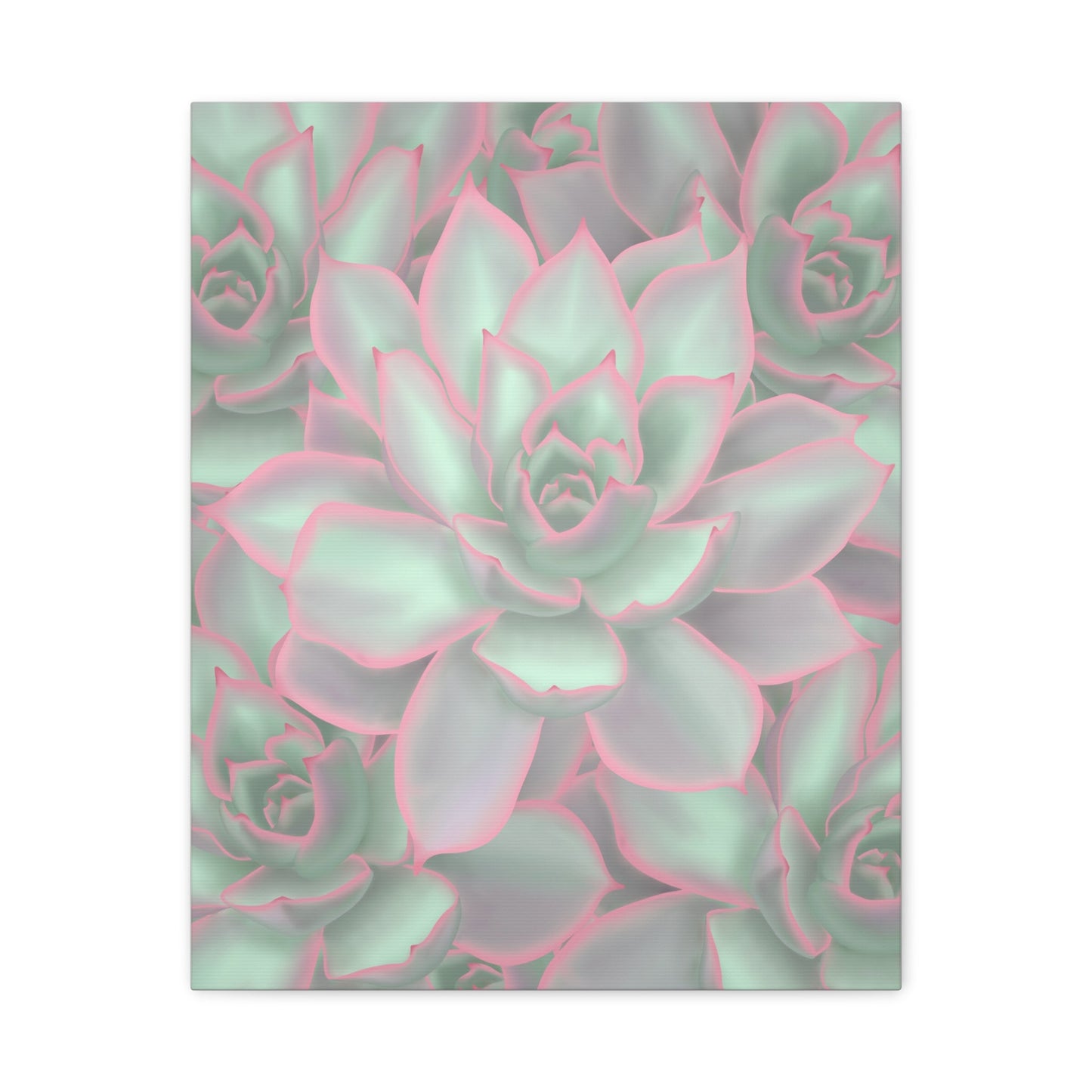 Echeveria Violet Queen Succulent Pattern Canvas Print – Botanical Wall Art