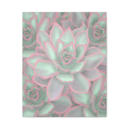 Echeveria Violet Queen Succulent Pattern Canvas Print – Botanical Wall Art