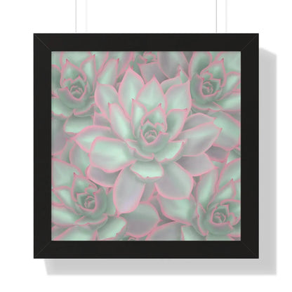 Echeveria Violet Queen Succulent Pattern Framed Print – Botanical Wall Art