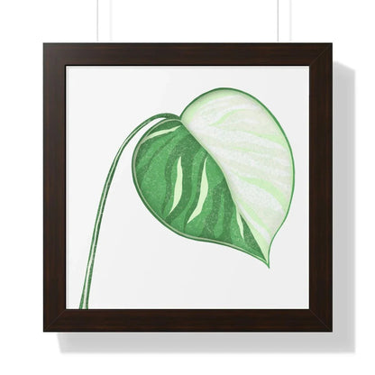 Monstera Albo Illustrated Framed Print – Botanical Wall Art
