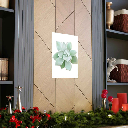 Pachyveria Haagei Succulent Botanical Print – Unframed Wall Art