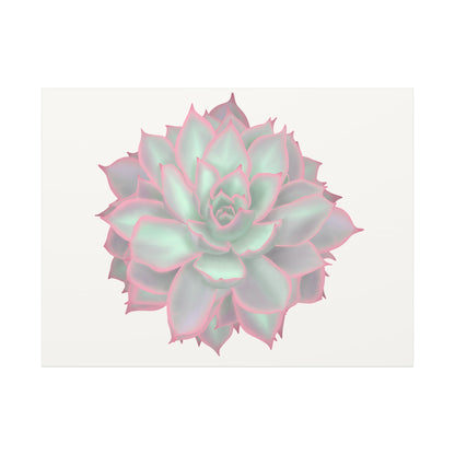 Echeveria Violet Queen Succulent Canvas Print – Botanical Wall Art