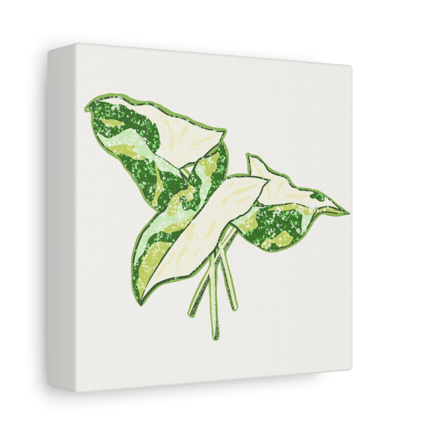 Marble Syngonium Canvas Print – Botanical Wall Art
