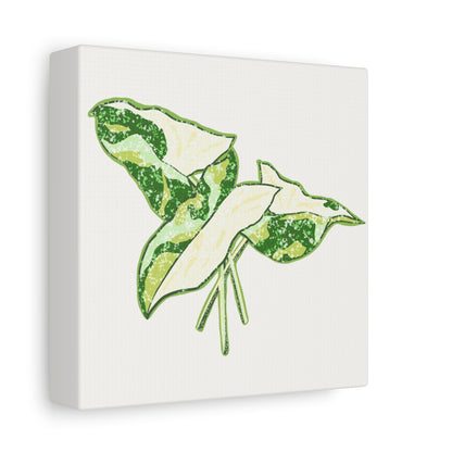 Marble Syngonium Canvas Print – Botanical Wall Art
