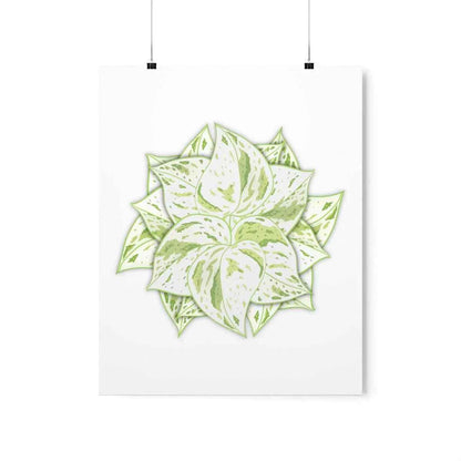 Snow Queen Pothos Botanical Print – Unframed Wall Art