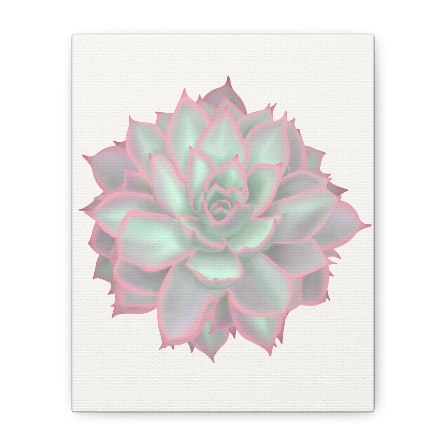 Echeveria Violet Queen Succulent Canvas Print – Botanical Wall Art