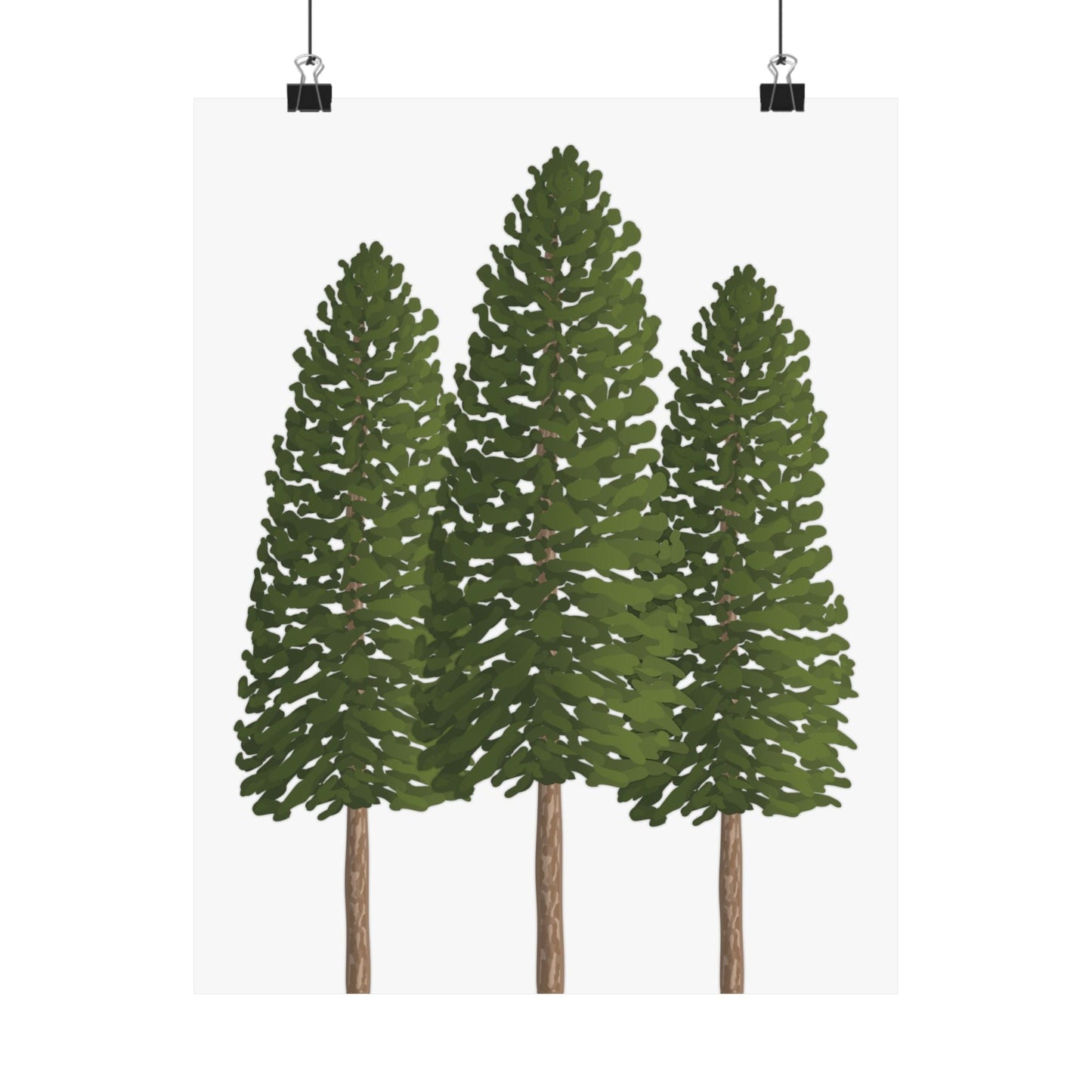 Ponderosa Pine Print – Unframed Wall Art