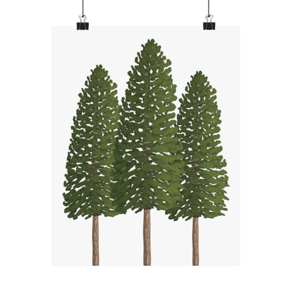 Ponderosa Pine Print – Unframed Wall Art