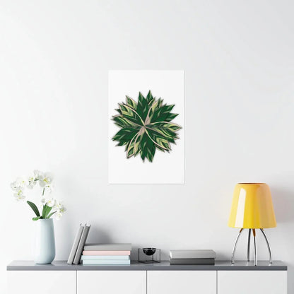 Stromanthe Triostar Botanical Print – Unframed Wall Art