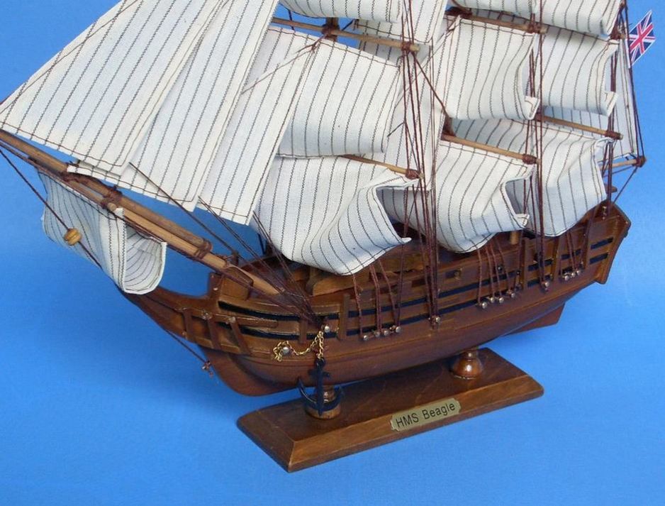 Wooden Charles Darwin's HMS Beagle Model Ship 14""